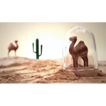 set 4 Portaspezie con piattino - ANIMAL PARADE by QUALY DESIGN