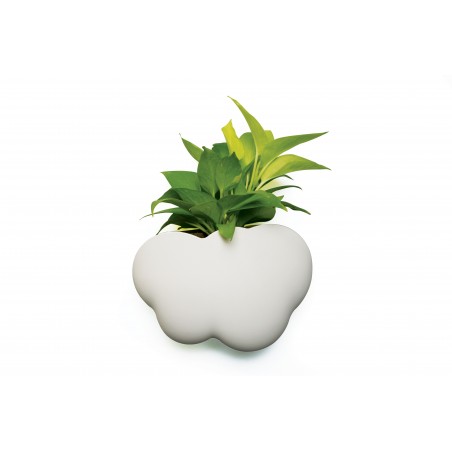 Vaso o portaoggetti da parete - Pot Cloud  by Qualy