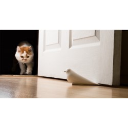Fermaporta a forma di colomba 2 varianti di colore - DOVE DOOR STOPPER by QUALY 2