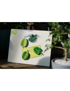 4 Magneti foglie tropicali colore verde - TROPICAL MAGNET by Qualy 2