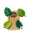 4 Magneti foglie tropicali colore verde - TROPICAL MAGNET by Qualy