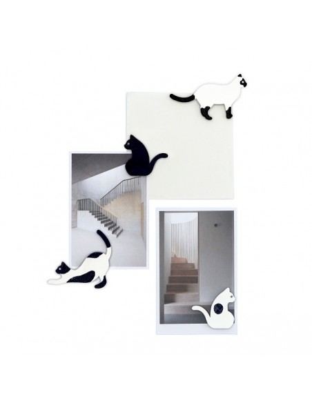 4 Magneti a forma di gatto con pennarello arancione o nero - SIAMESE CAT by Moreover