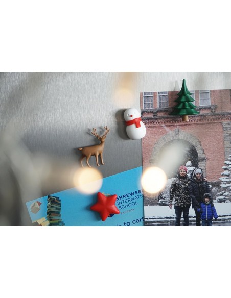 Set 4 magneti tema natalizio - WINTER WONDER by Qualy Design