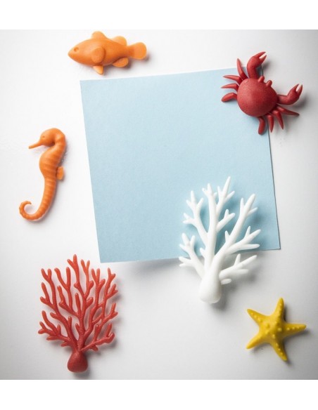Magneti 6 soggetti diversi tema marino - OCEAN ECOLOGY by Qualy