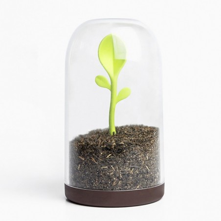Barattolo caffè o zucchero + cucchiaino - SPROUT JAR by Qualy