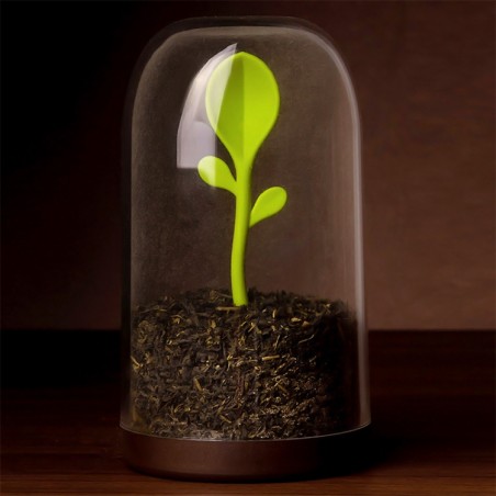 Barattolo caffè o zucchero + cucchiaino - SPROUT JAR by Qualy