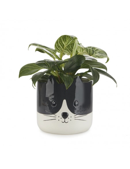 BALVI Vaso da fiori gatto in ceramica H 13,7 KITTY