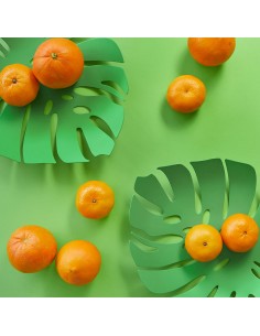 BALVI Cesto frutta foglia verde metallo 30 cm Monstera 2