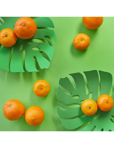 BALVI Cesto frutta foglia verde metallo 30 cm Monstera