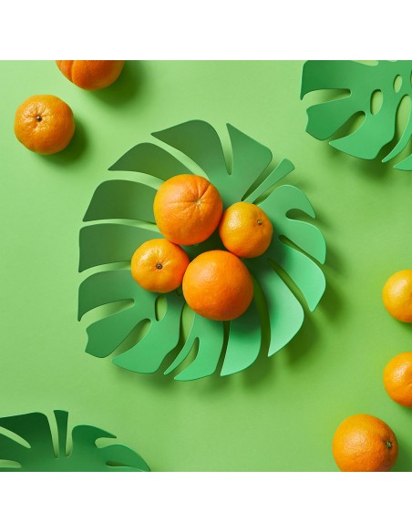 BALVI Cesto frutta foglia verde metallo 30 cm Monstera