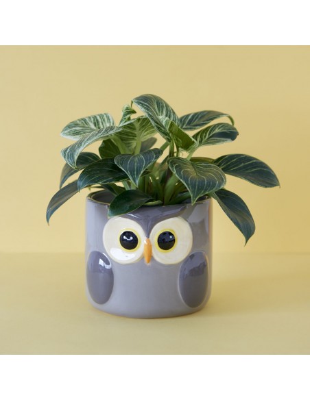 BALVI Vaso da fiori gufo grigio ceramica h 11,7 cm Owl