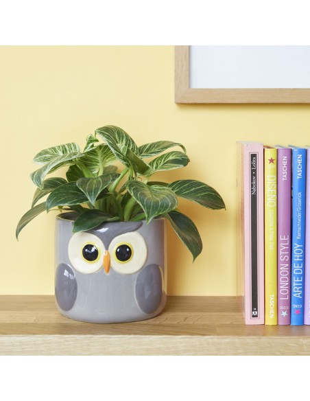 BALVI Vaso da fiori gufo grigio ceramica h 11,7 cm Owl