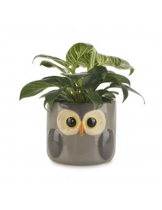 BALVI Vaso da fiori gufo grigio ceramica h 11,7 cm Owl 2