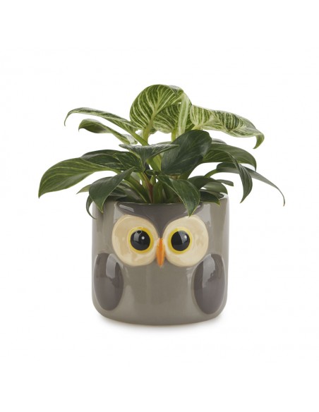 BALVI Vaso da fiori gufo grigio ceramica h 11,7 cm Owl