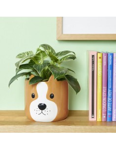 Balvi Vaso da fiori cane marrone ceramica h 13.5 cm Woof 2