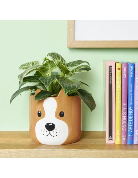 Balvi Vaso da fiori cane marrone ceramica h 13.5 cm Woof