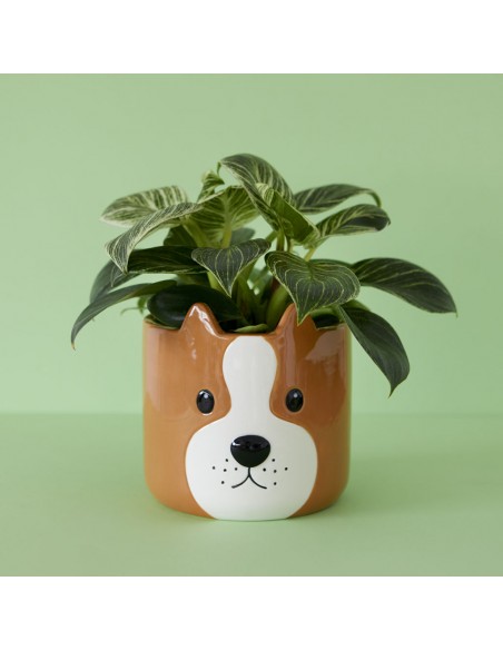 Balvi Vaso da fiori cane marrone ceramica h 13.5 cm Woof
