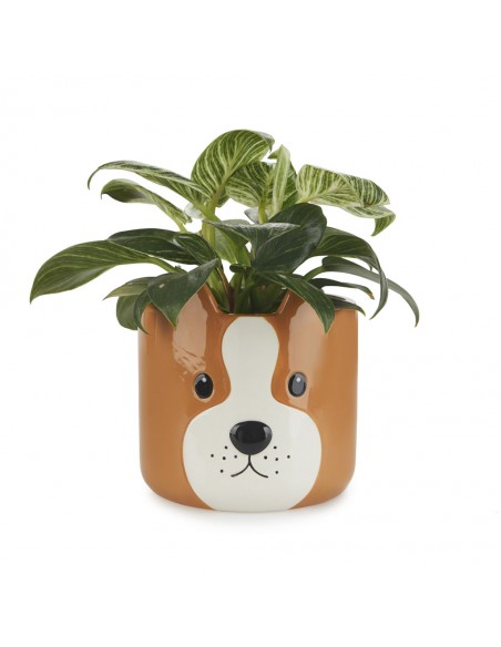 Balvi Vaso da fiori cane marrone ceramica h 13.5 cm Woof