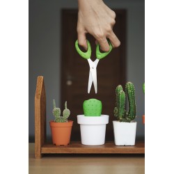 Forbici e contenitore in 2 alternative di colore - CACTUS by QUALY 2