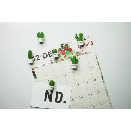 6 Magneti in 2 alternative di colore - CACNET by QUALY DESIGN